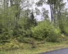 Lot 77 Bassilla Way, Davis, West Virginia 26260, ,Lots/land,For Sale,Bassilla,10164638