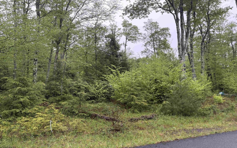 Lot 77 Bassilla Way, Davis, West Virginia 26260, ,Lots/land,For Sale,Bassilla,10164638