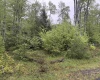 Lot 77 Bassilla Way, Davis, West Virginia 26260, ,Lots/land,For Sale,Bassilla,10164638