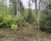 Lot 77 Bassilla Way, Davis, West Virginia 26260, ,Lots/land,For Sale,Bassilla,10164638