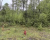 Lot 77 Bassilla Way, Davis, West Virginia 26260, ,Lots/land,For Sale,Bassilla,10164638