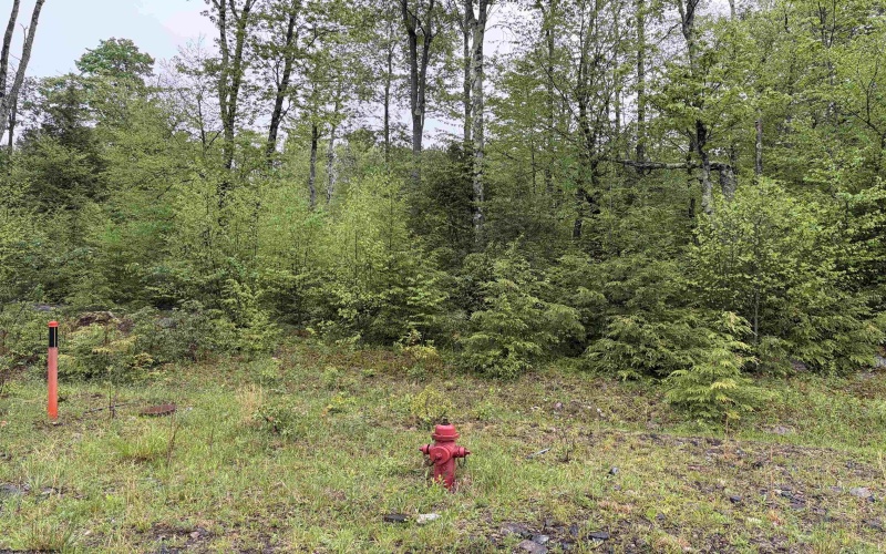 Lot 77 Bassilla Way, Davis, West Virginia 26260, ,Lots/land,For Sale,Bassilla,10164638