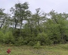 Lot 77 Bassilla Way, Davis, West Virginia 26260, ,Lots/land,For Sale,Bassilla,10164638