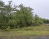 Lot 77 Bassilla Way, Davis, West Virginia 26260, ,Lots/land,For Sale,Bassilla,10164638