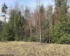 Lot 77 Bassilla Way, Davis, West Virginia 26260, ,Lots/land,For Sale,Bassilla,10164638