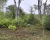 Lot 77 Bassilla Way, Davis, West Virginia 26260, ,Lots/land,For Sale,Bassilla,10164638