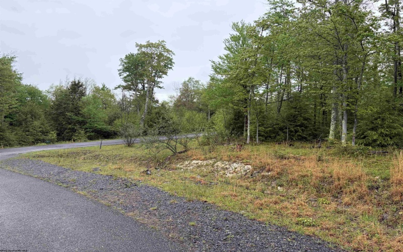 Lot 77 Bassilla Way, Davis, West Virginia 26260, ,Lots/land,For Sale,Bassilla,10164638