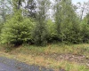 Lot 77 Bassilla Way, Davis, West Virginia 26260, ,Lots/land,For Sale,Bassilla,10164638