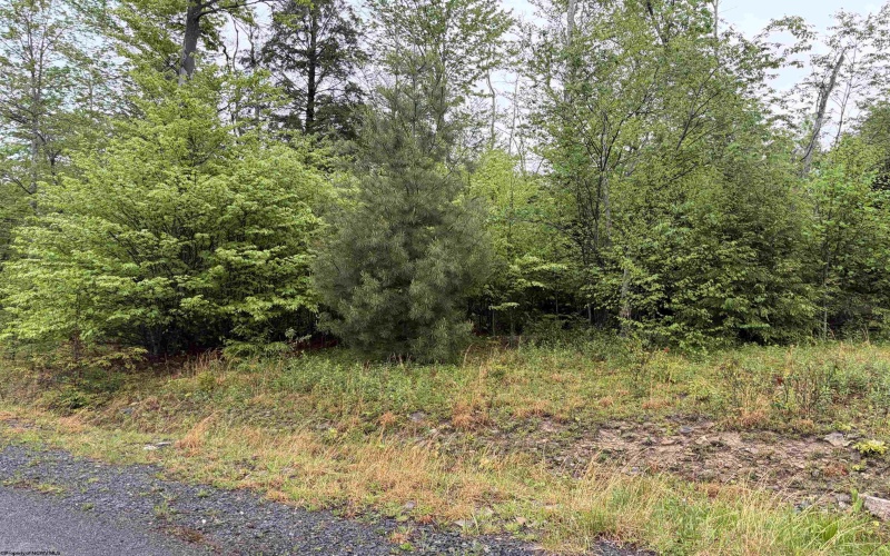 Lot 77 Bassilla Way, Davis, West Virginia 26260, ,Lots/land,For Sale,Bassilla,10164638