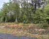 Lot 77 Bassilla Way, Davis, West Virginia 26260, ,Lots/land,For Sale,Bassilla,10164638