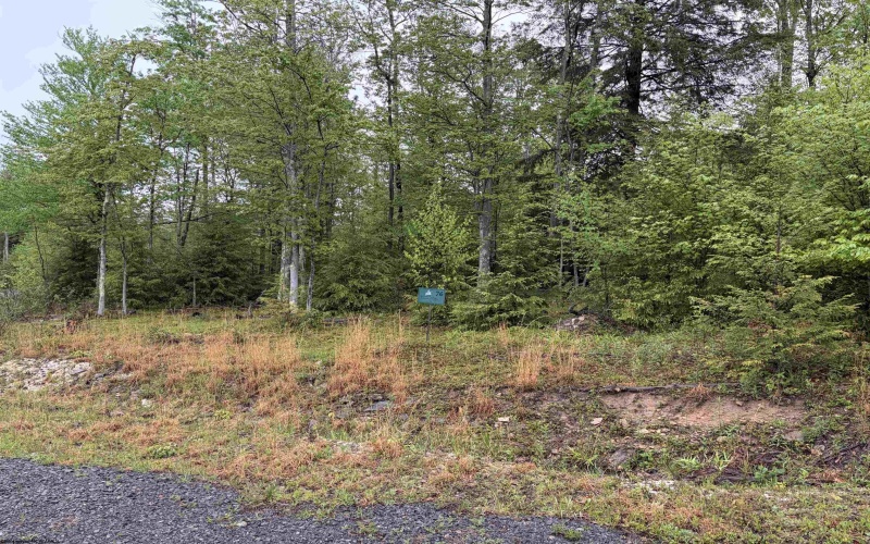 Lot 77 Bassilla Way, Davis, West Virginia 26260, ,Lots/land,For Sale,Bassilla,10164638