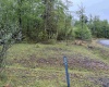 Lot 77 Bassilla Way, Davis, West Virginia 26260, ,Lots/land,For Sale,Bassilla,10164638