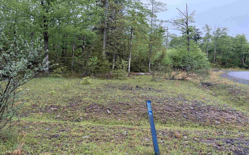 Lot 77 Bassilla Way, Davis, West Virginia 26260, ,Lots/land,For Sale,Bassilla,10164638