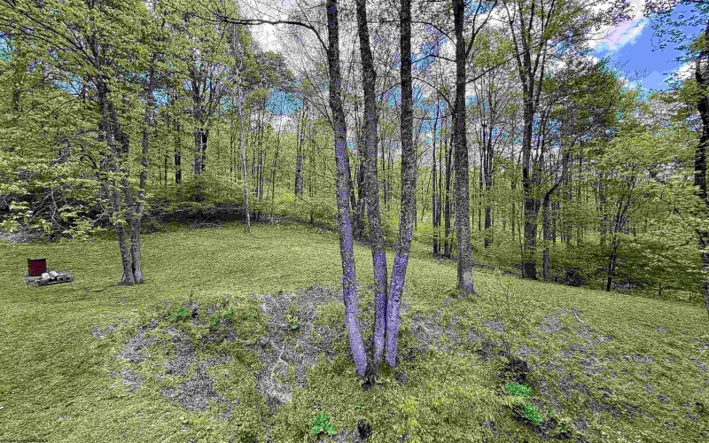 804 Jewelweed Road, Bristol, West Virginia 26426, 3 Bedrooms Bedrooms, 8 Rooms Rooms,2 BathroomsBathrooms,Single Family Detached,For Sale,Jewelweed,10164618
