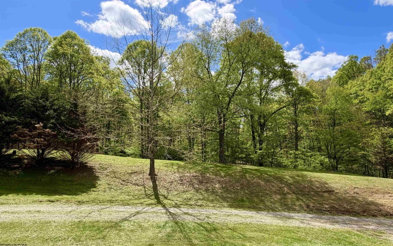 804 Jewelweed Road, Bristol, West Virginia 26426, 3 Bedrooms Bedrooms, 8 Rooms Rooms,2 BathroomsBathrooms,Single Family Detached,For Sale,Jewelweed,10164618