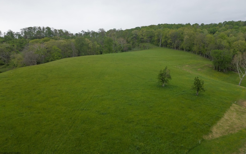 922 Tetrick Road, Shinnston, West Virginia 26431, 4 Bedrooms Bedrooms, 8 Rooms Rooms,2 BathroomsBathrooms,Single Family Detached,For Sale,Tetrick,10164630