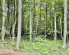 4 Holleran Heights, Kingwood, West Virginia 26519, ,Lots/land,For Sale,Holleran,10164656