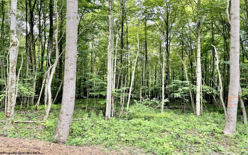 4 Holleran Heights, Kingwood, West Virginia 26519, ,Lots/land,For Sale,Holleran,10164656