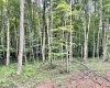 4 Holleran Heights, Kingwood, West Virginia 26519, ,Lots/land,For Sale,Holleran,10164656