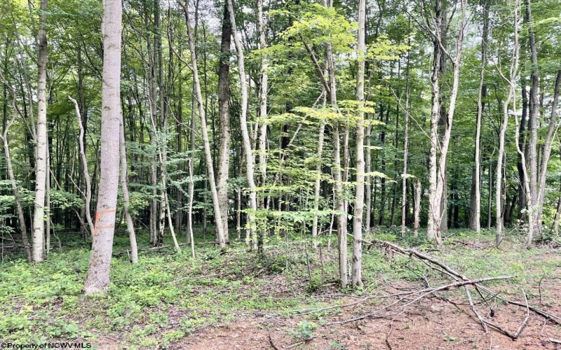 4 Holleran Heights, Kingwood, West Virginia 26519, ,Lots/land,For Sale,Holleran,10164656
