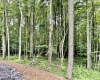 4 Holleran Heights, Kingwood, West Virginia 26519, ,Lots/land,For Sale,Holleran,10164656