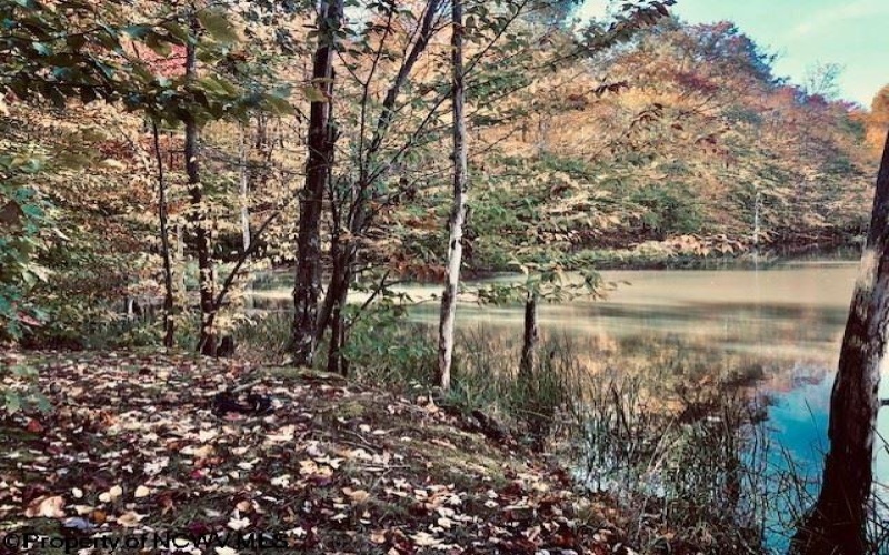 4 Holleran Heights, Kingwood, West Virginia 26519, ,Lots/land,For Sale,Holleran,10164656