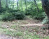 3311 Hanging Run Road, Belington, West Virginia 26250, ,Lots/land,For Sale,Hanging Run,10164652