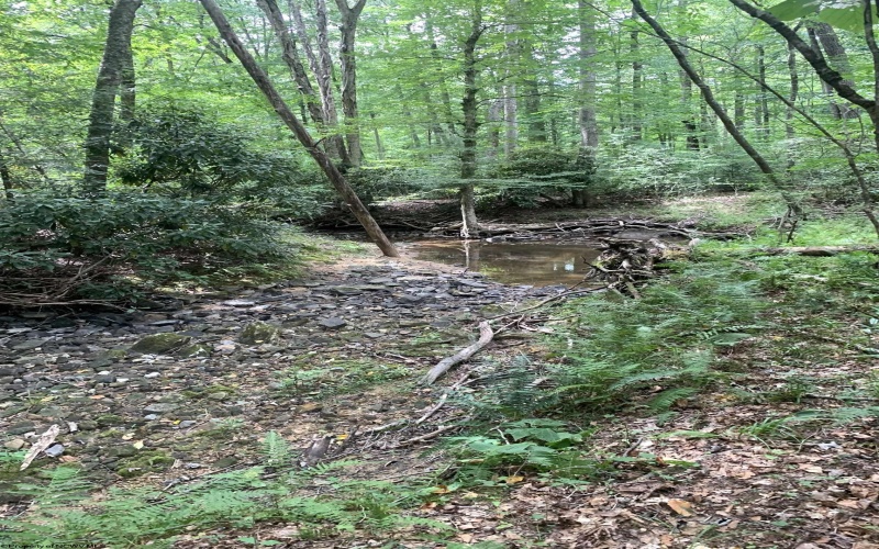 3311 Hanging Run Road, Belington, West Virginia 26250, ,Lots/land,For Sale,Hanging Run,10164652