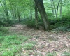 3311 Hanging Run Road, Belington, West Virginia 26250, ,Lots/land,For Sale,Hanging Run,10164652