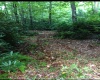 3311 Hanging Run Road, Belington, West Virginia 26250, 0 , 0 ,0,Lots/land,For Sale,Hanging Run,0,10164652