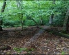 3311 Hanging Run Road, Belington, West Virginia 26250, 0 , 0 ,0,Lots/land,For Sale,Hanging Run,0,10164652