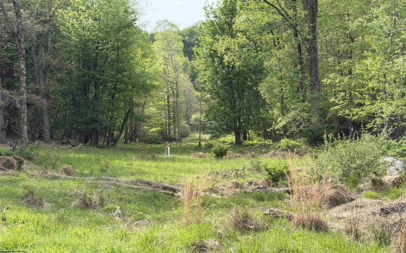 2494 Seng Run Road, French Creek, West Virginia 26218, 3 Bedrooms Bedrooms, 9 Rooms Rooms,2 BathroomsBathrooms,Single Family Detached,For Sale,Seng Run,10164670