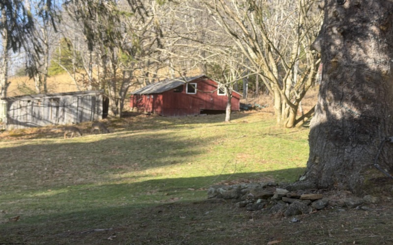 2494 Seng Run Road, French Creek, West Virginia 26218, 3 Bedrooms Bedrooms, 9 Rooms Rooms,2 BathroomsBathrooms,Single Family Detached,For Sale,Seng Run,10164670