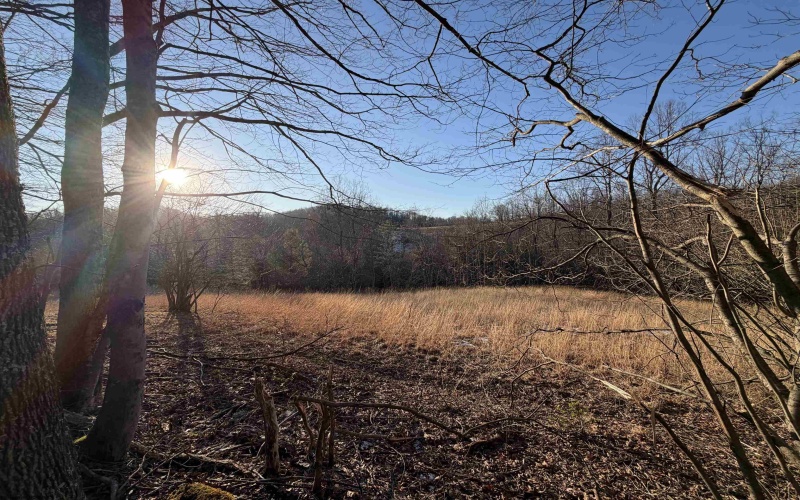 2494 Seng Run Road, French Creek, West Virginia 26218, 3 Bedrooms Bedrooms, 9 Rooms Rooms,2 BathroomsBathrooms,Single Family Detached,For Sale,Seng Run,10164670