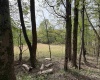 2494 Seng Run Road, French Creek, West Virginia 26218, 3 Bedrooms Bedrooms, 9 Rooms Rooms,2 BathroomsBathrooms,Single Family Detached,For Sale,Seng Run,10164670