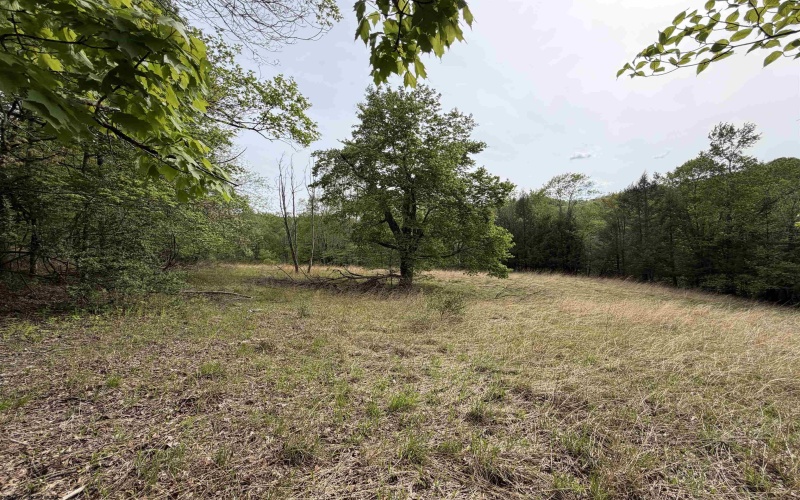 2494 Seng Run Road, French Creek, West Virginia 26218, 3 Bedrooms Bedrooms, 9 Rooms Rooms,2 BathroomsBathrooms,Single Family Detached,For Sale,Seng Run,10164670