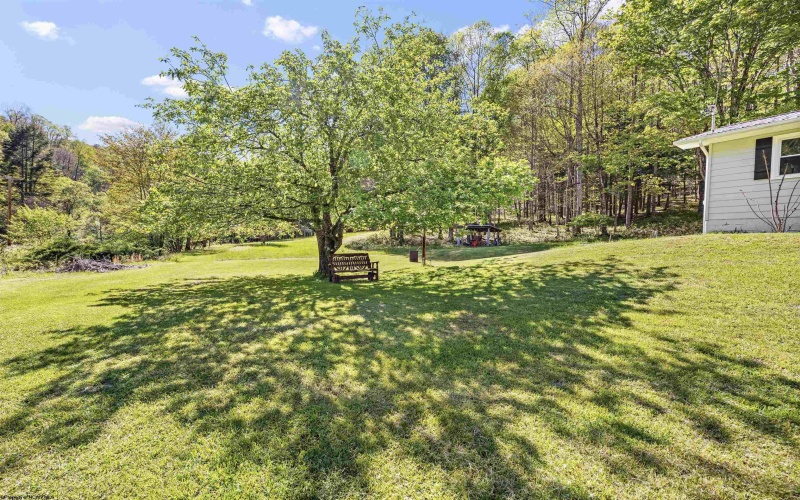61 Smith Bridge Road, Helvetia, West Virginia 26224, 3 Bedrooms Bedrooms, 5 Rooms Rooms,1 BathroomBathrooms,Single Family Detached,For Sale,Smith Bridge,10164668