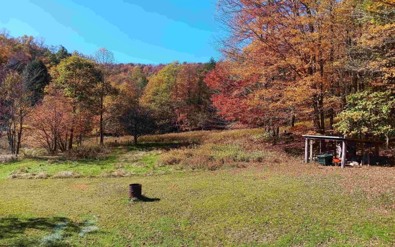 61 Smith Bridge Road, Helvetia, West Virginia 26224, 3 Bedrooms Bedrooms, 5 Rooms Rooms,1 BathroomBathrooms,Single Family Detached,For Sale,Smith Bridge,10164668