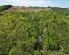 10701 Chapel Road, Gassaway, West Virginia 26624, ,Lots/land,For Sale,Chapel,10164677