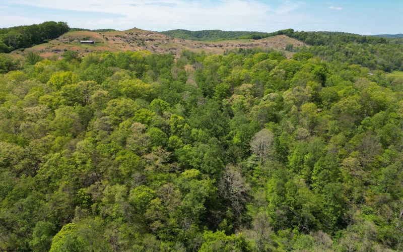 10701 Chapel Road, Gassaway, West Virginia 26624, ,Lots/land,For Sale,Chapel,10164677