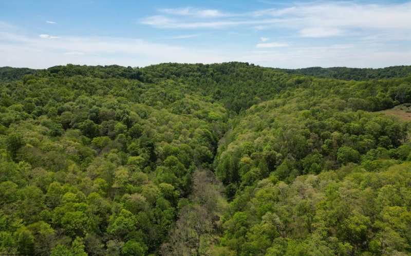 10701 Chapel Road, Gassaway, West Virginia 26624, ,Lots/land,For Sale,Chapel,10164677