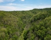 10701 Chapel Road, Gassaway, West Virginia 26624, ,Lots/land,For Sale,Chapel,10164677