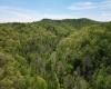 10701 Chapel Road, Gassaway, West Virginia 26624, ,Lots/land,For Sale,Chapel,10164677