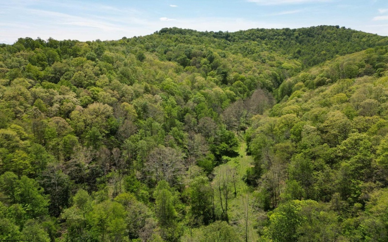 10701 Chapel Road, Gassaway, West Virginia 26624, ,Lots/land,For Sale,Chapel,10164677
