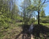 Lot 13 Tymber Creek Drive, Clarksburg, West Virginia 26301, ,Lots/land,For Sale,Tymber Creek,10164679