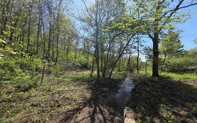 Lot 13 Tymber Creek Drive, Clarksburg, West Virginia 26301, ,Lots/land,For Sale,Tymber Creek,10164679