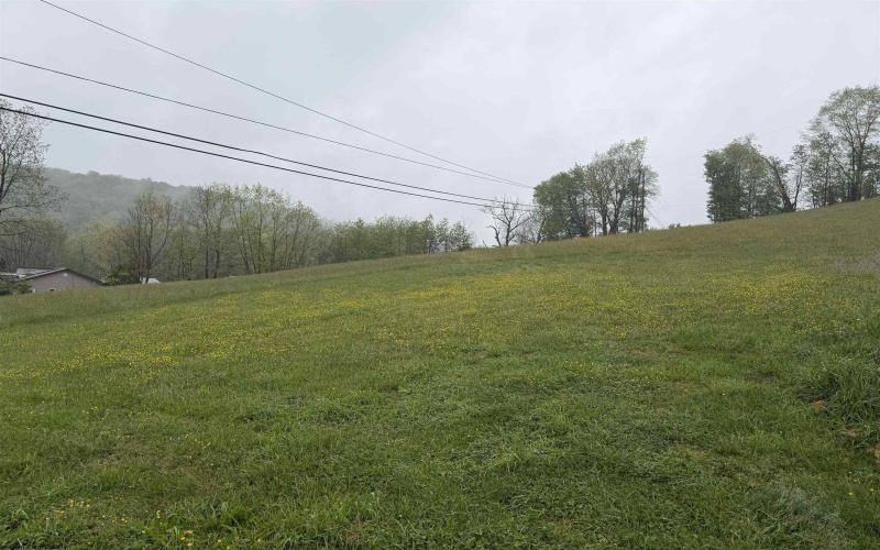TBD Old Elkins Road, Buckhannon, West Virginia 26201, ,Lots/land,For Sale,Old Elkins,10164687