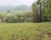 TBD Old Elkins Road, Buckhannon, West Virginia 26201, ,Lots/land,For Sale,Old Elkins,10164687