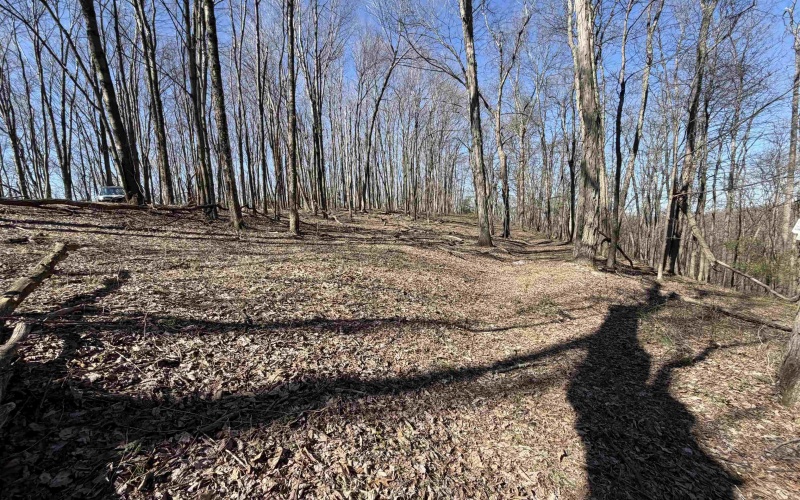 TBD Old Elkins Road, Buckhannon, West Virginia 26201, ,Lots/land,For Sale,Old Elkins,10164687