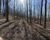 TBD Old Elkins Road, Buckhannon, West Virginia 26201, ,Lots/land,For Sale,Old Elkins,10164687